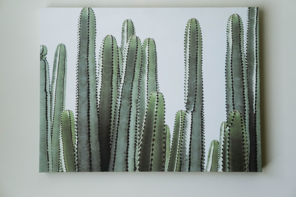 green cactus plant on white table