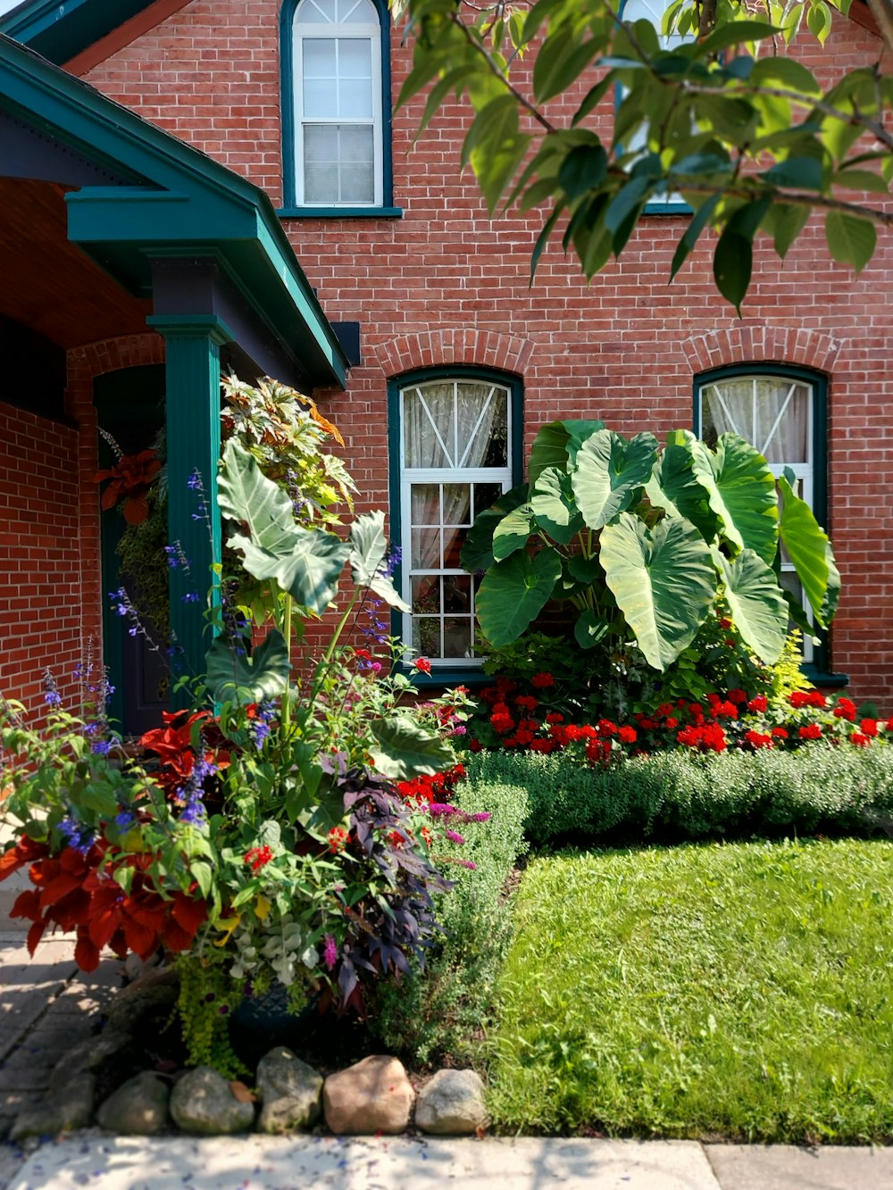 red and white flowers in front of brown brick house