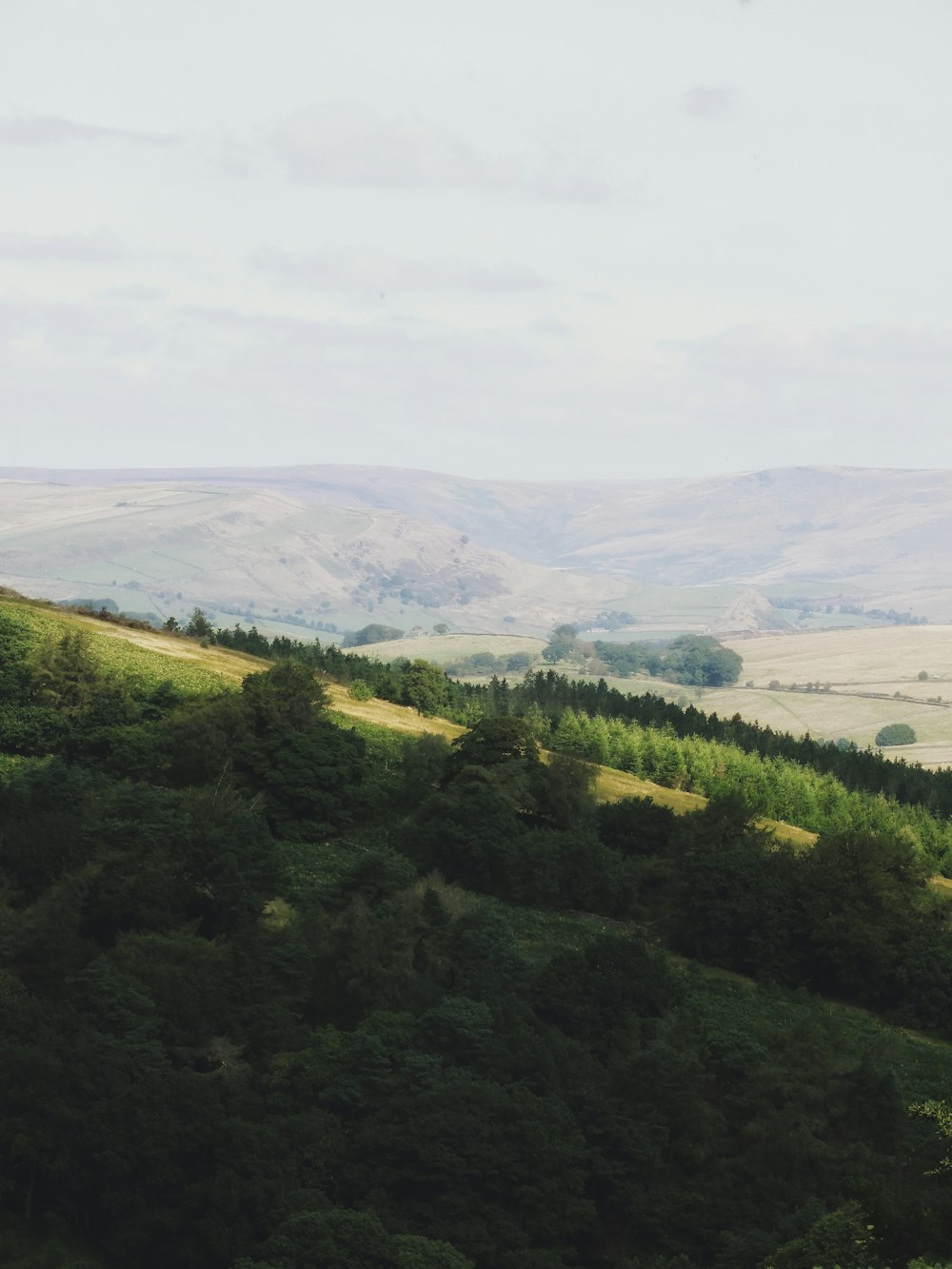 green trees on mountain under white sky during daytime