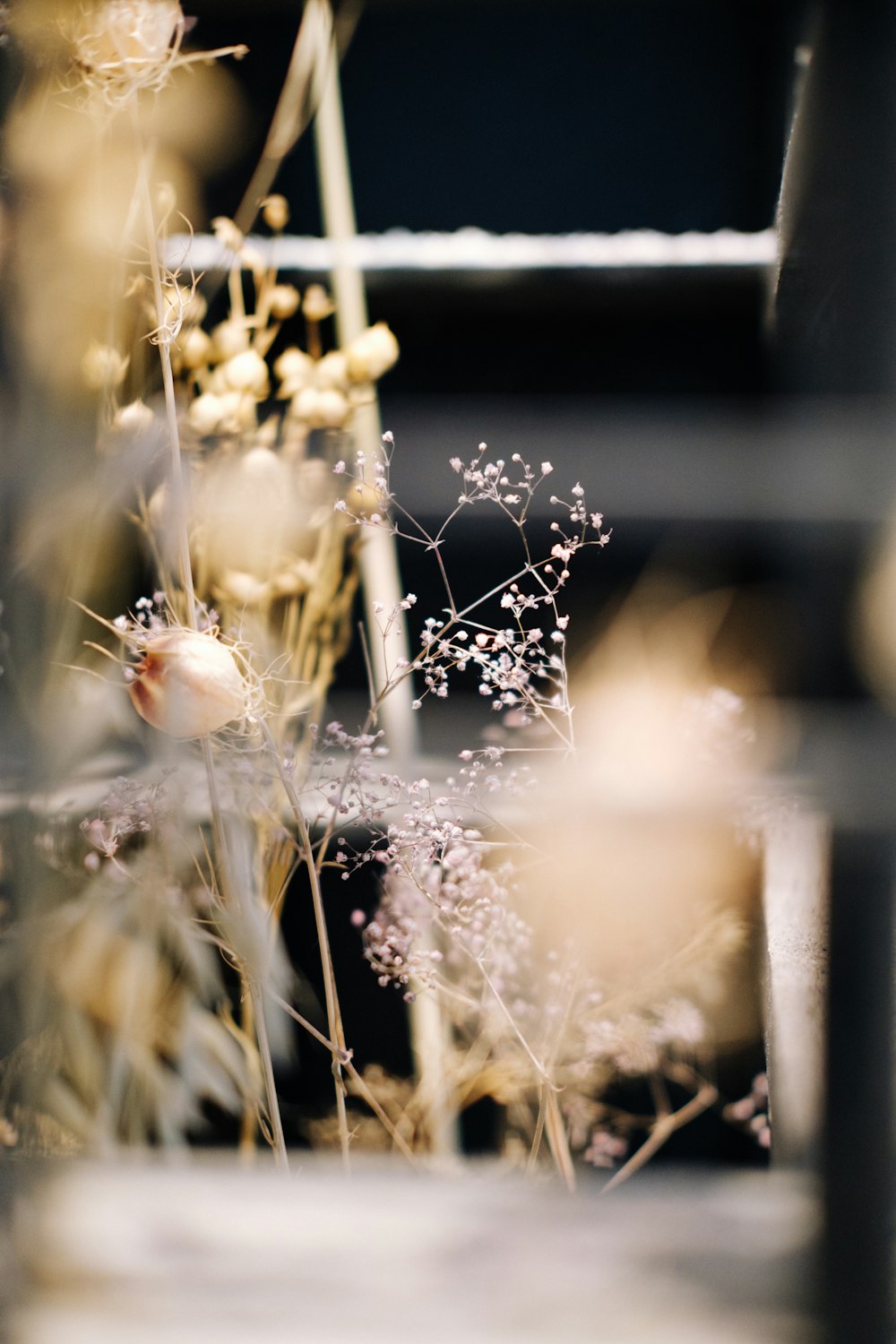 white spider web on brown plant during daytime