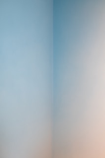 A freshly painted living room wall showcasing smooth, even coverage and clean edges.