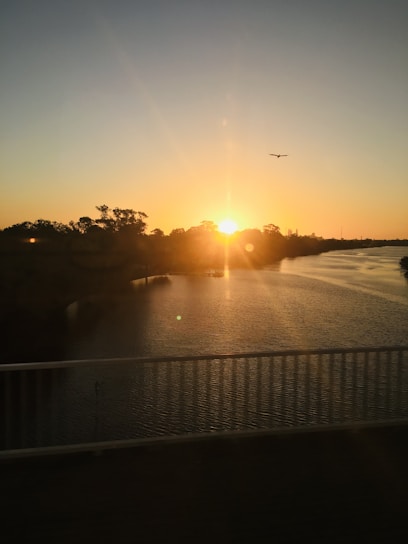 A serene sunset over the St. Johns River with local wildlife in the foreground.