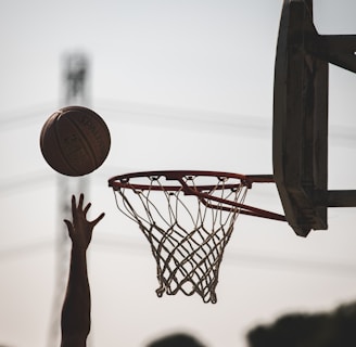 basketball hoop with basketball hoop