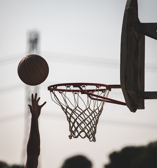 basketball hoop with basketball hoop