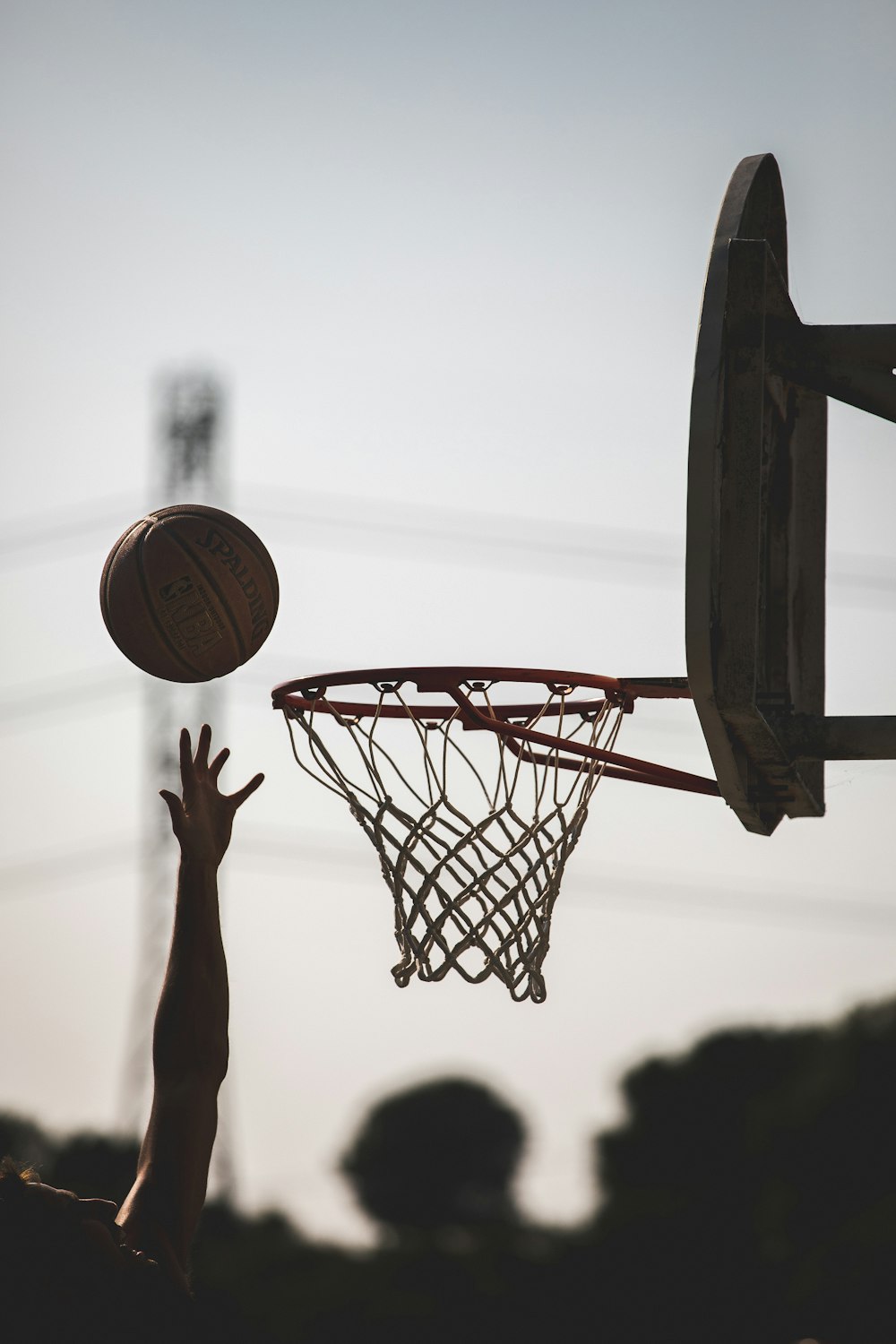 basketball hoop with basketball hoop