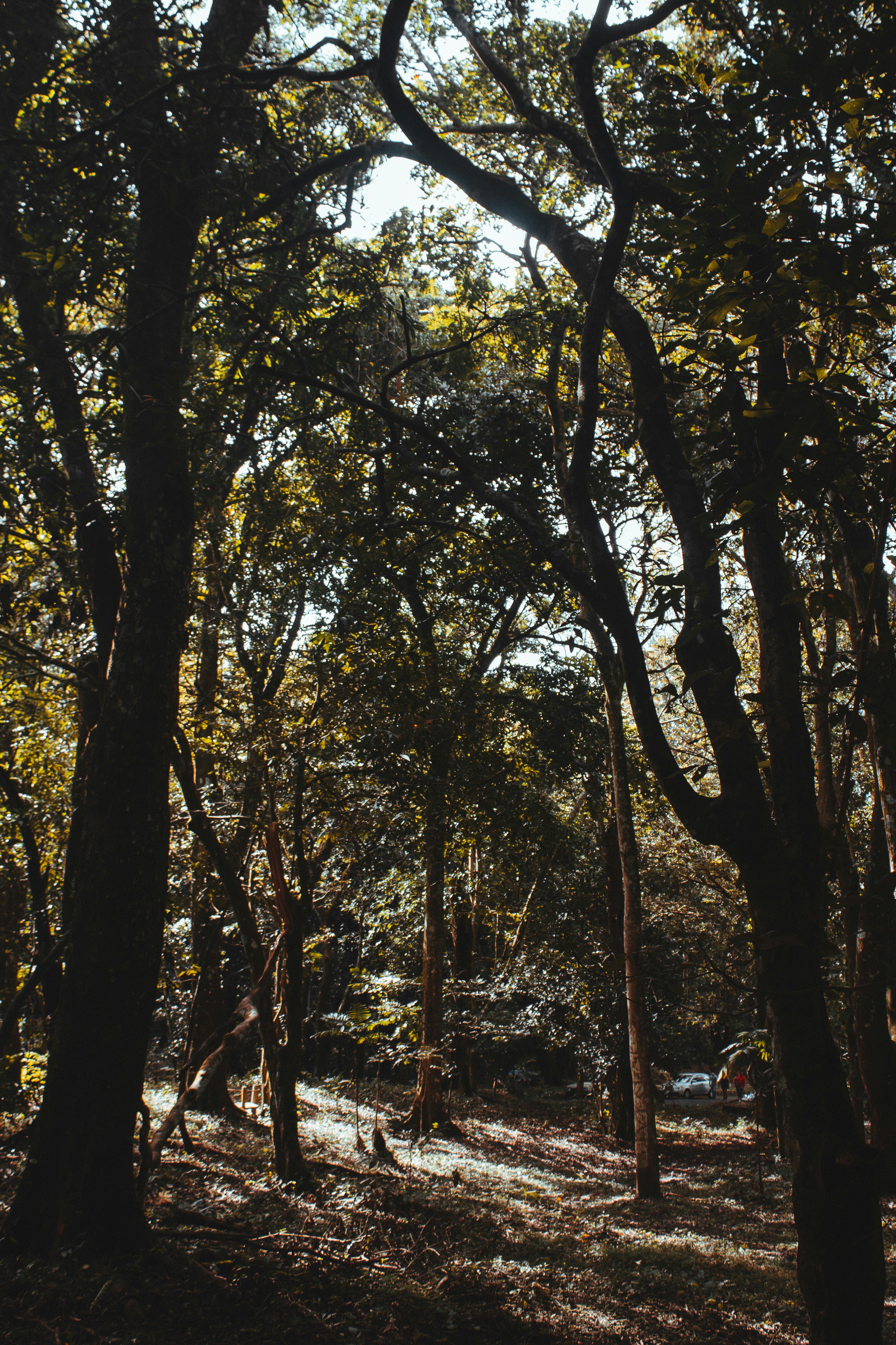 Photo by daniel_castellon20