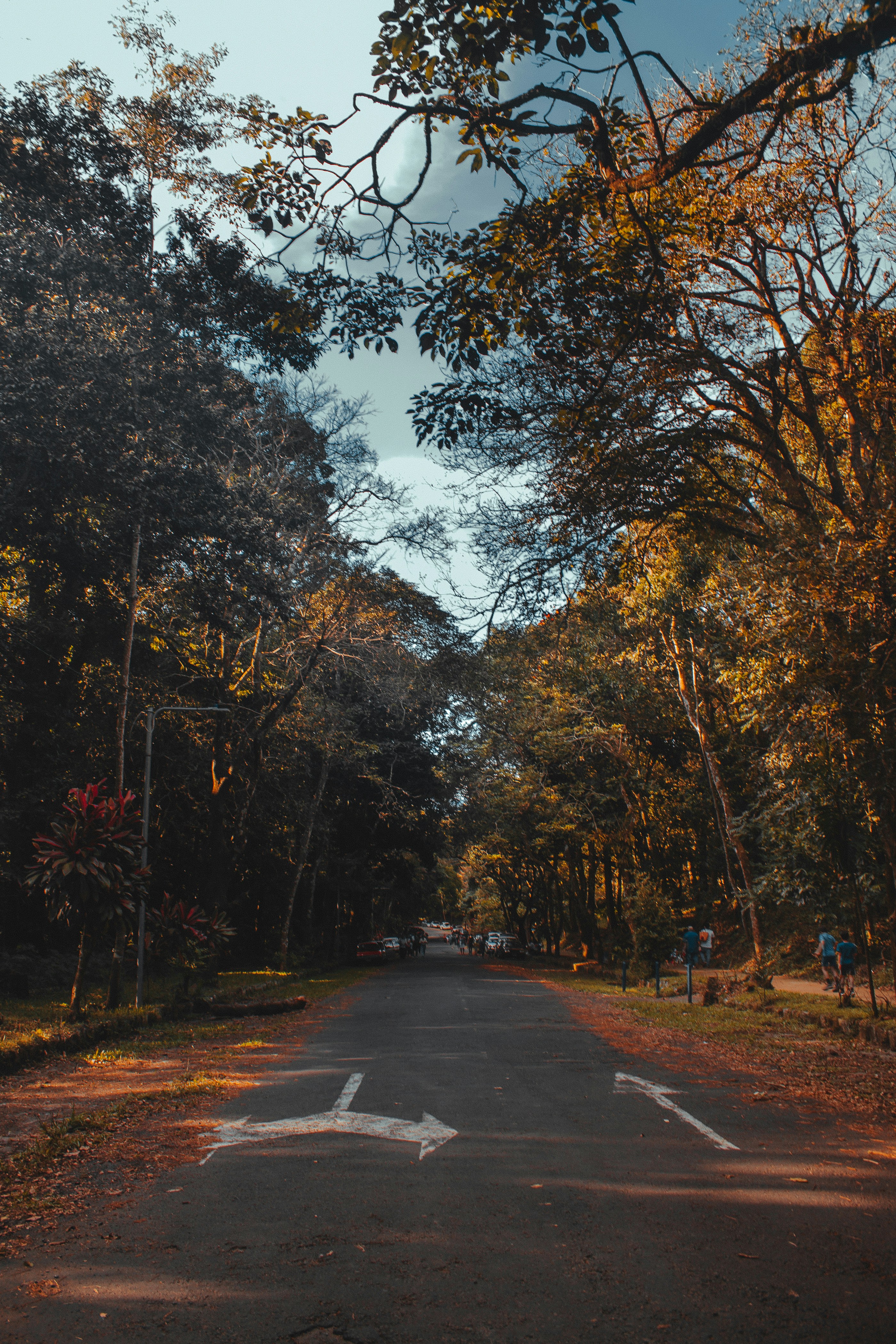 Photo by daniel_castellon20