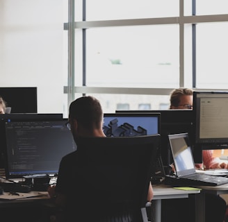 people sitting on chair in front of computer monitor