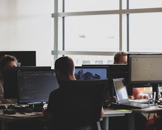 people sitting on chair in front of computer monitor