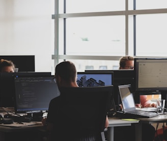 people sitting on chair in front of computer monitor