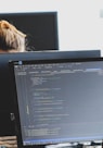 woman in black shirt sitting beside black flat screen computer monitor