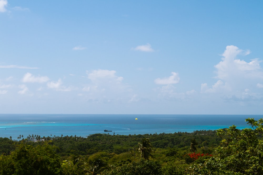 green trees near body of water during daytime