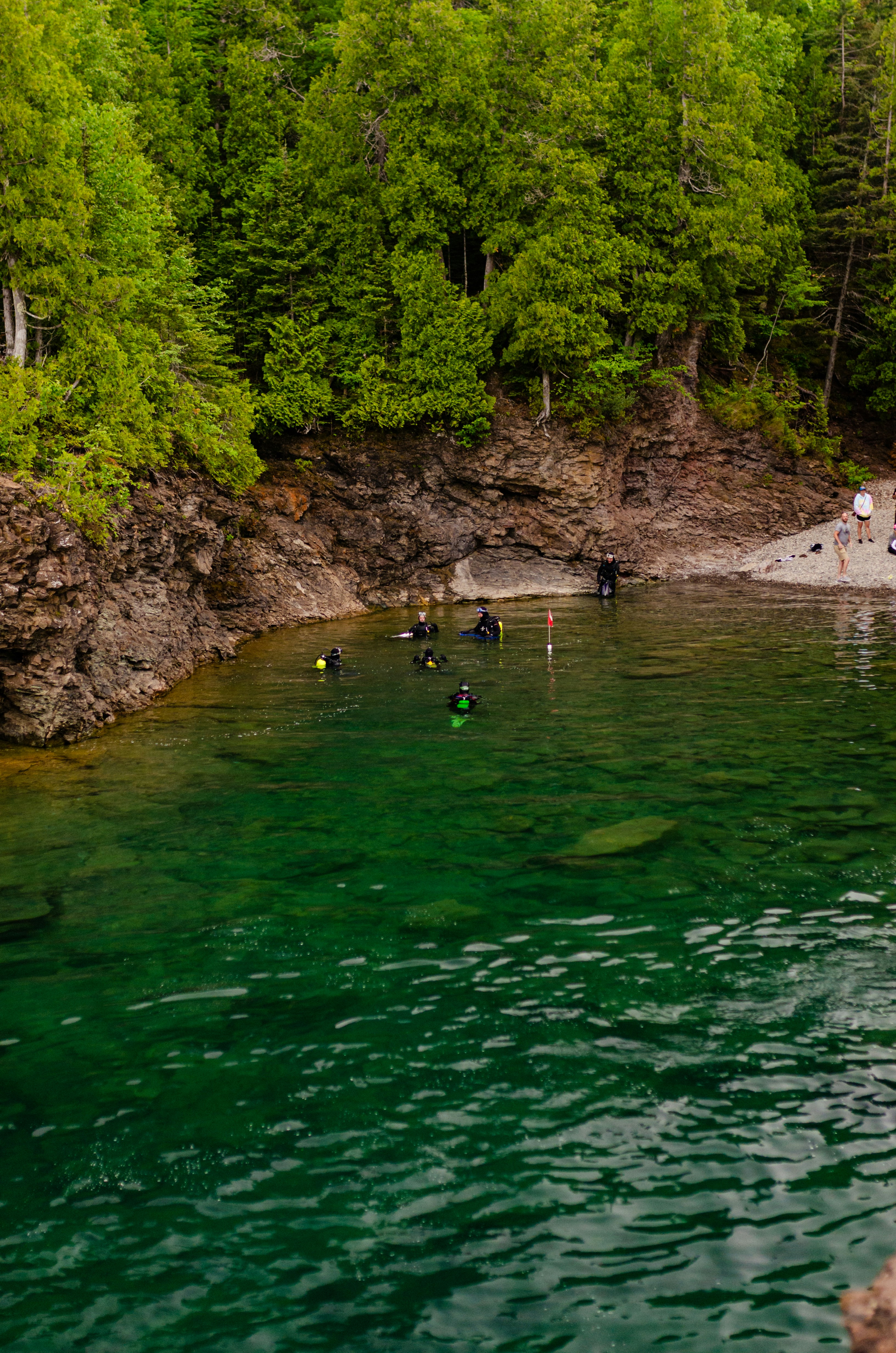people swimming on river during daytime