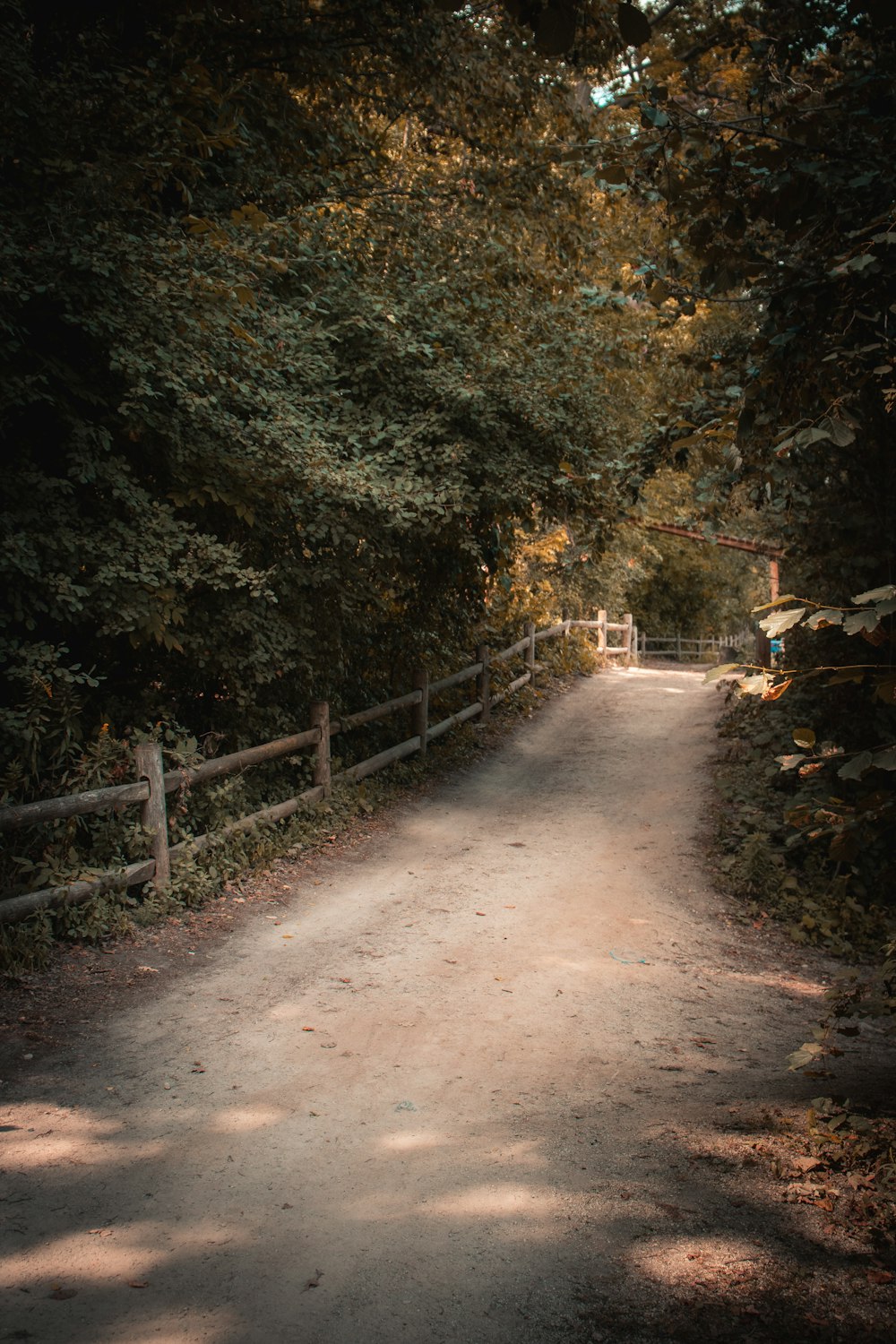 brown wooden fence on brown dirt road