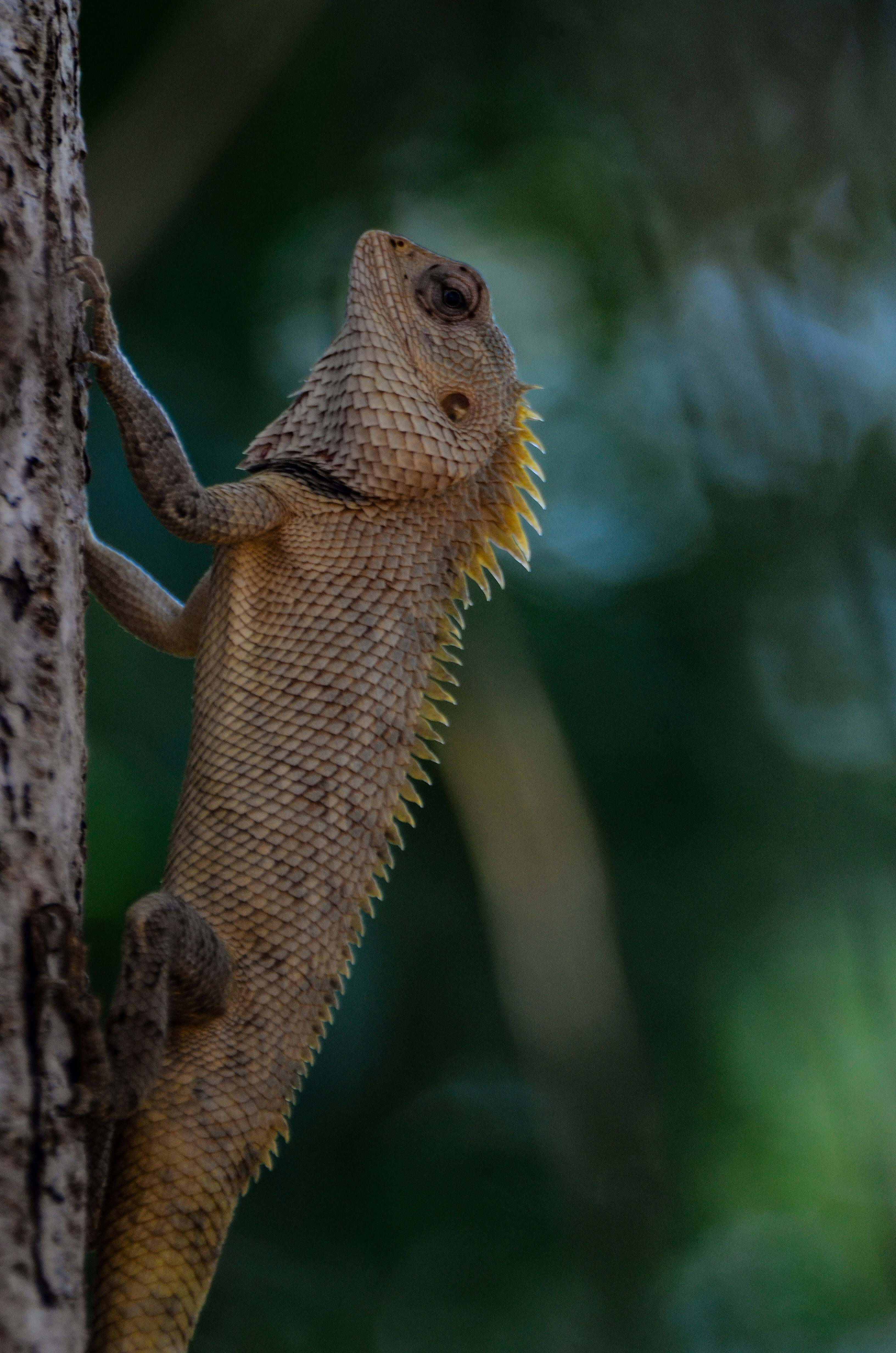 Photo by ramkumar810