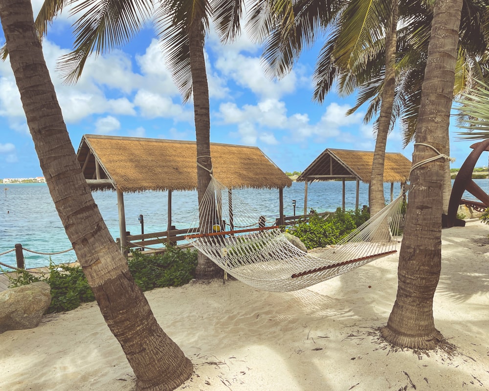 brown wooden beach house near palm trees under blue sky during daytime