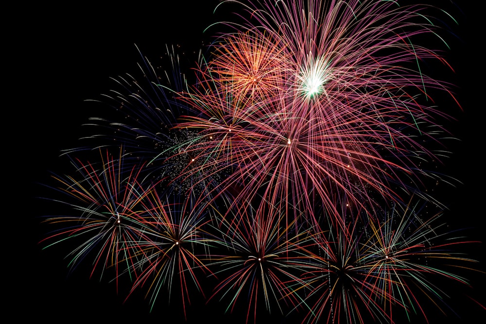 red and white fireworks during nighttime