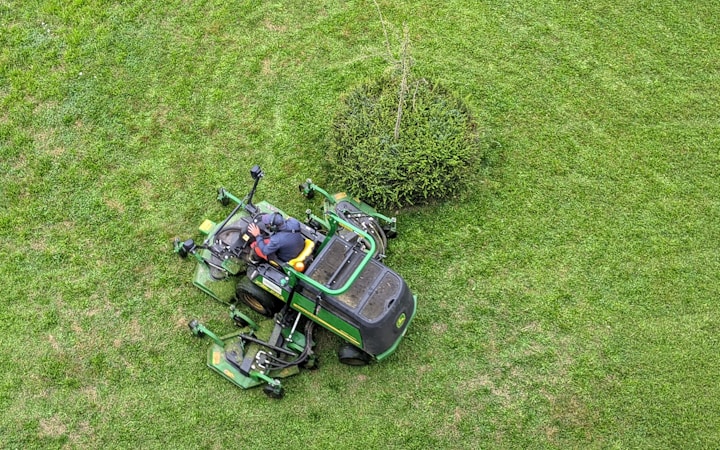 Understanding O’Malley’s Bush Hogging Services