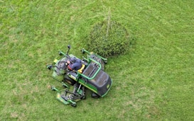 A person operates a green ride-on lawnmower, cutting grass around a small bush on a well-maintained lawn.