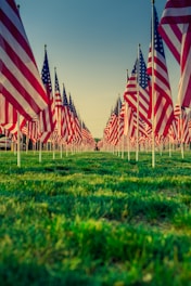 us a flags on green grass field during daytime