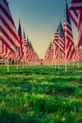 us a flags on green grass field during daytime