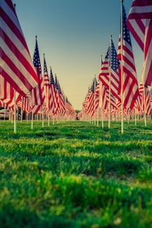 us a flags on green grass field during daytime