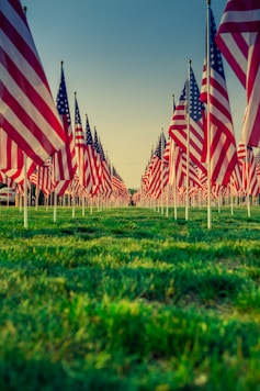 us a flags on green grass field during daytime