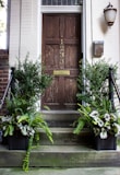 brown wooden door with green plants