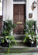 brown wooden door with green plants