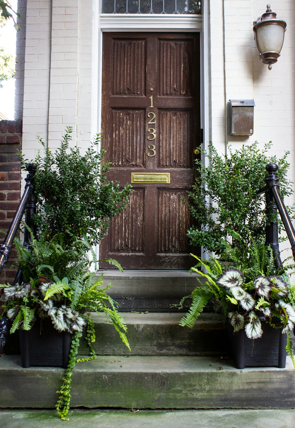 brown wooden door with green plants