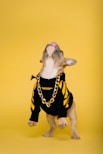 white short coated small dog in black and yellow shirt