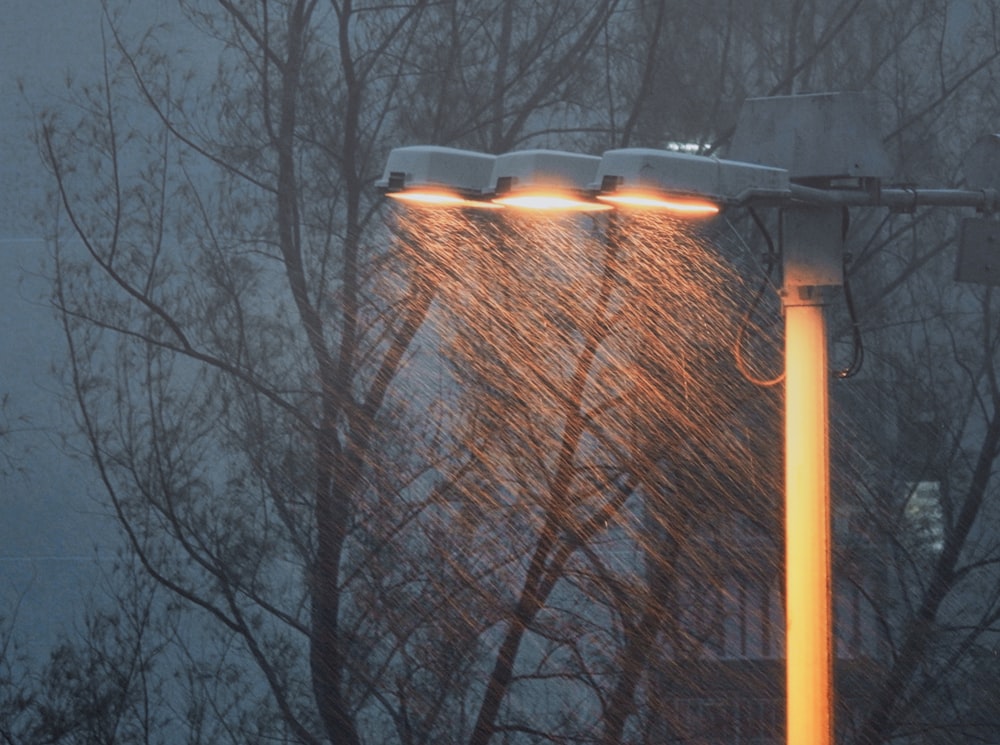 yellow metal pole near bare trees during daytime