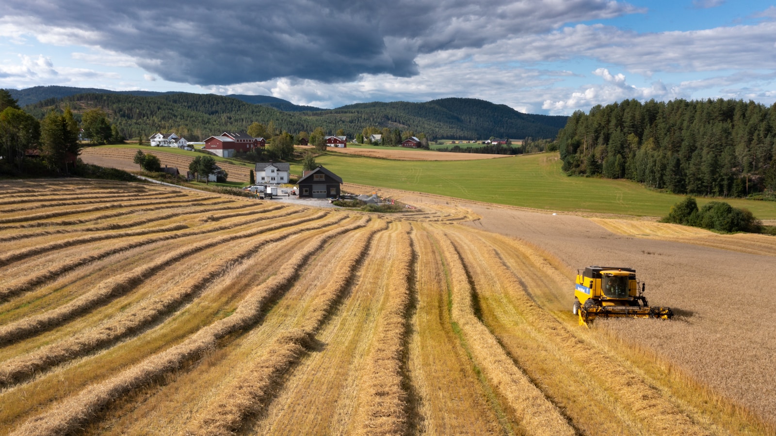 farmland