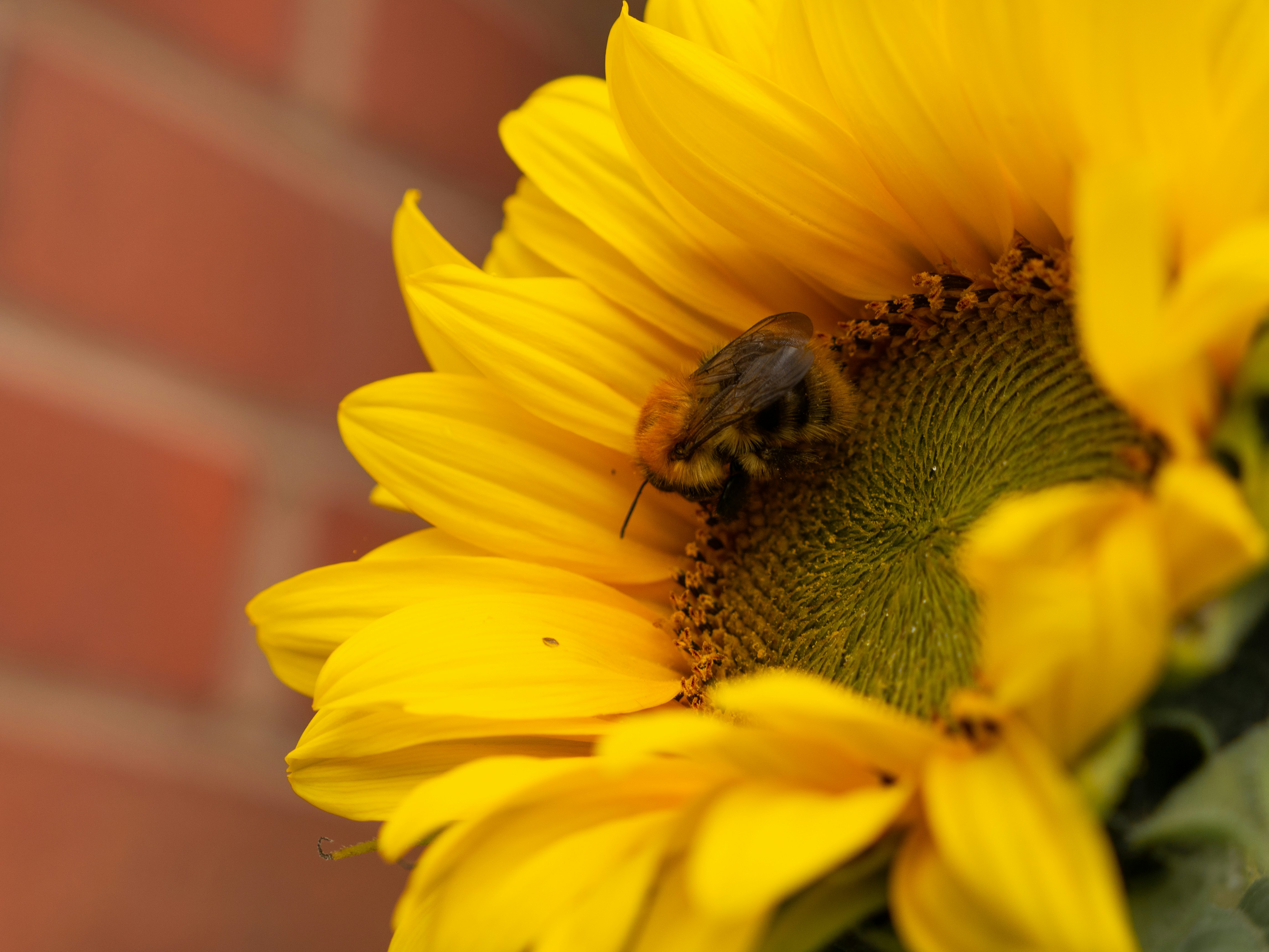 Photo by mattseymour