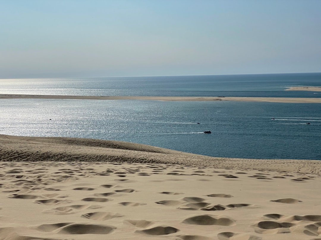 brown sand near body of water during daytime