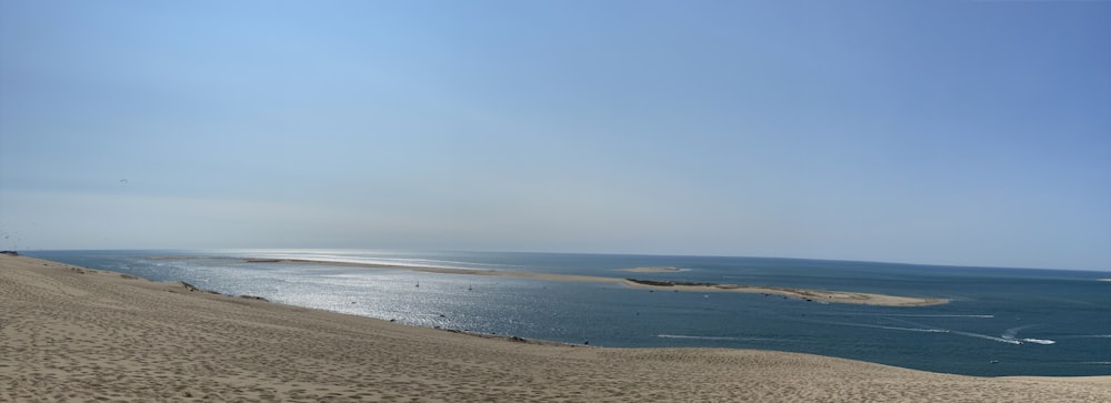 brown sand beach during daytime