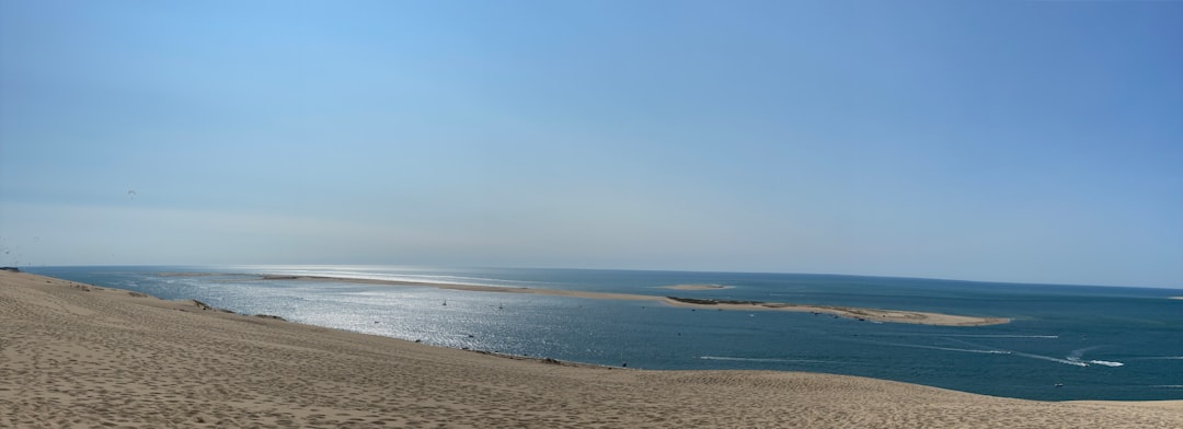 brown sand beach during daytime