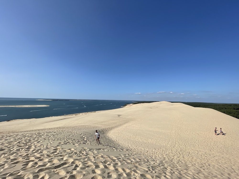 people walking on brown sand near sea during daytime