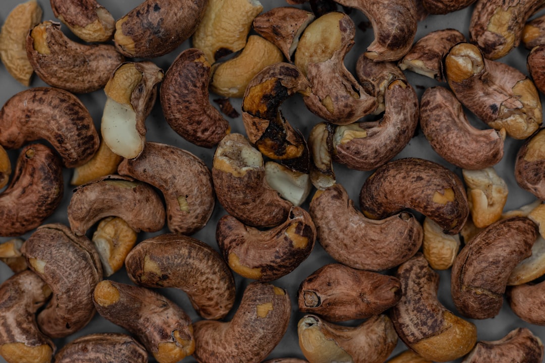 brown and black stones on white background