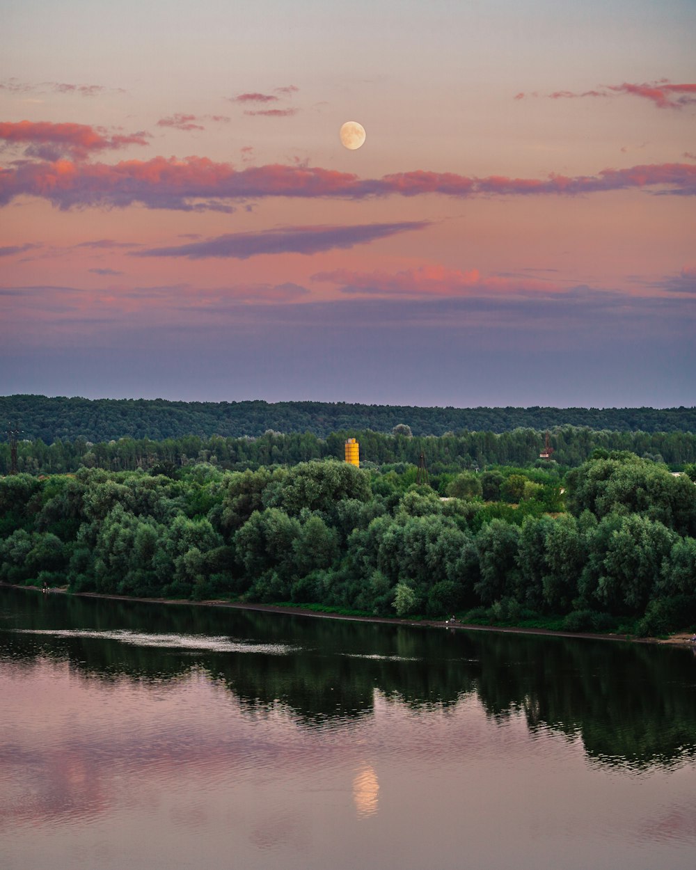 green trees near body of water during sunset