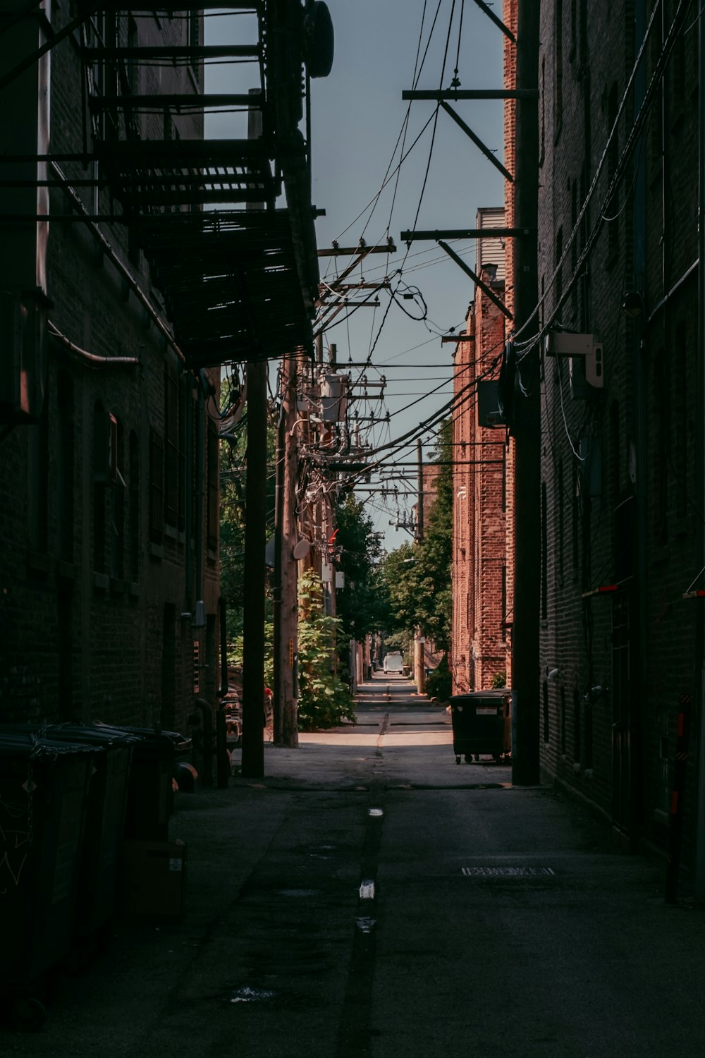 empty street with houses and trees