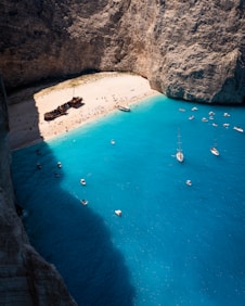 people on beach during daytime
