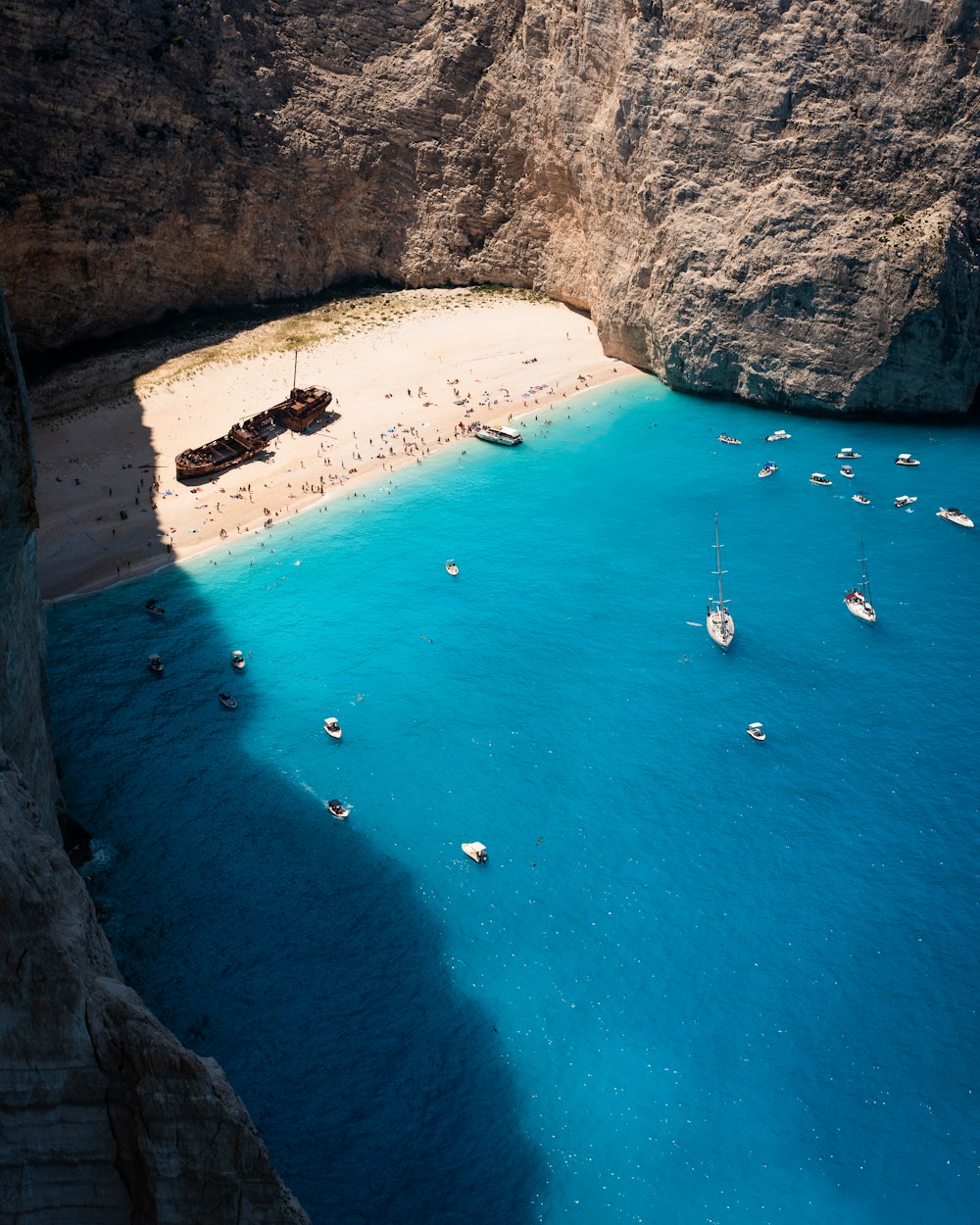 people on beach during daytime