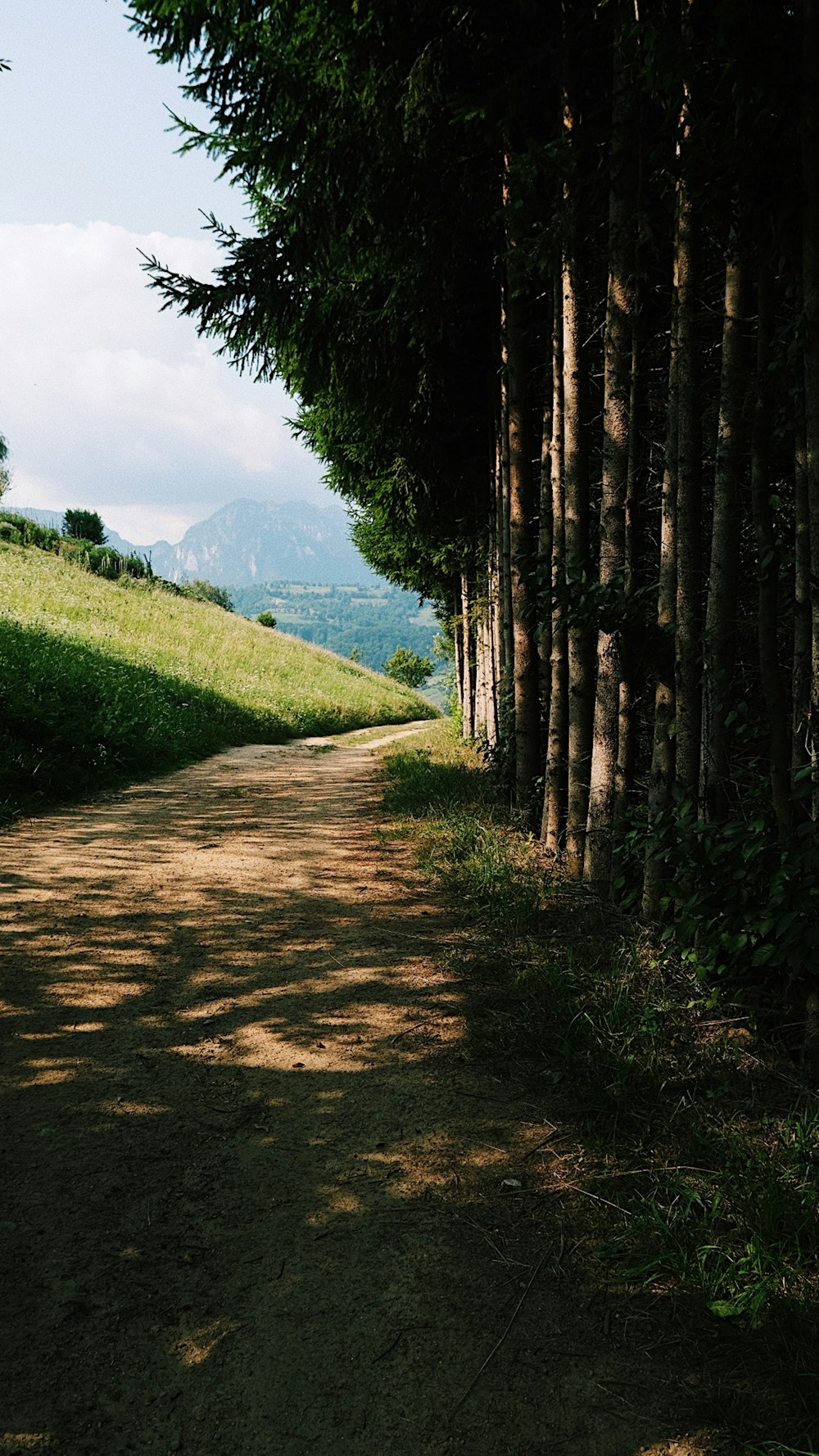 green grass field near lake during daytime