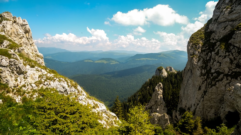 green trees on mountain under blue sky during daytime