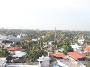 A panoramic shot of a residential neighborhood with colorful houses and palm trees under a clear blue sky