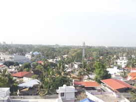 A panoramic view of a residential area filled with houses that have varying roof colors, including red, blue, and grey. Tall palm trees are scattered throughout the landscape, providing a tropical feel. In the distance, communication towers and a dense expanse of greenery can be seen under a clear sky.