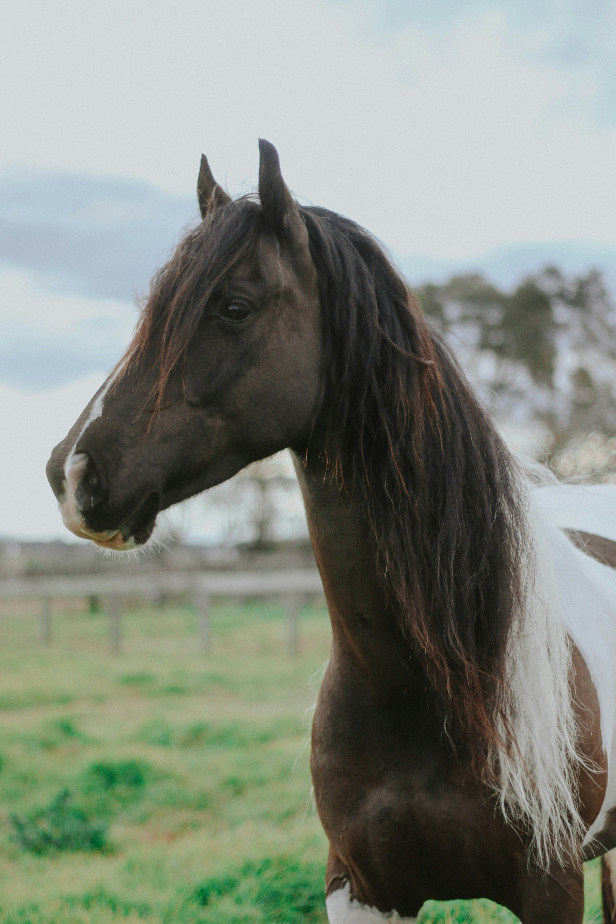 Photo by kathyadahil