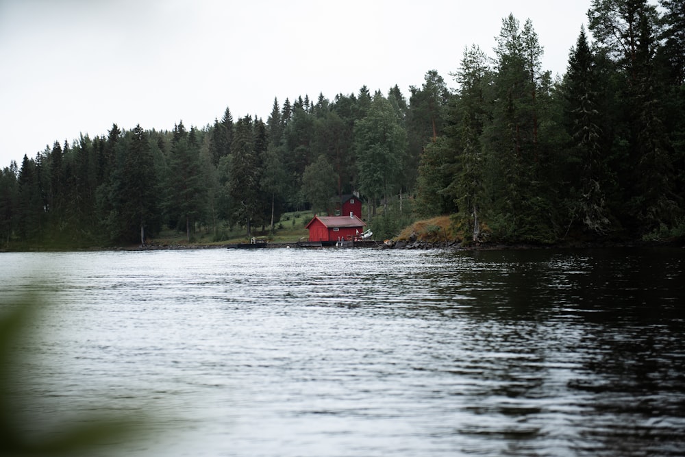 red house on lake surrounded by green trees during daytime