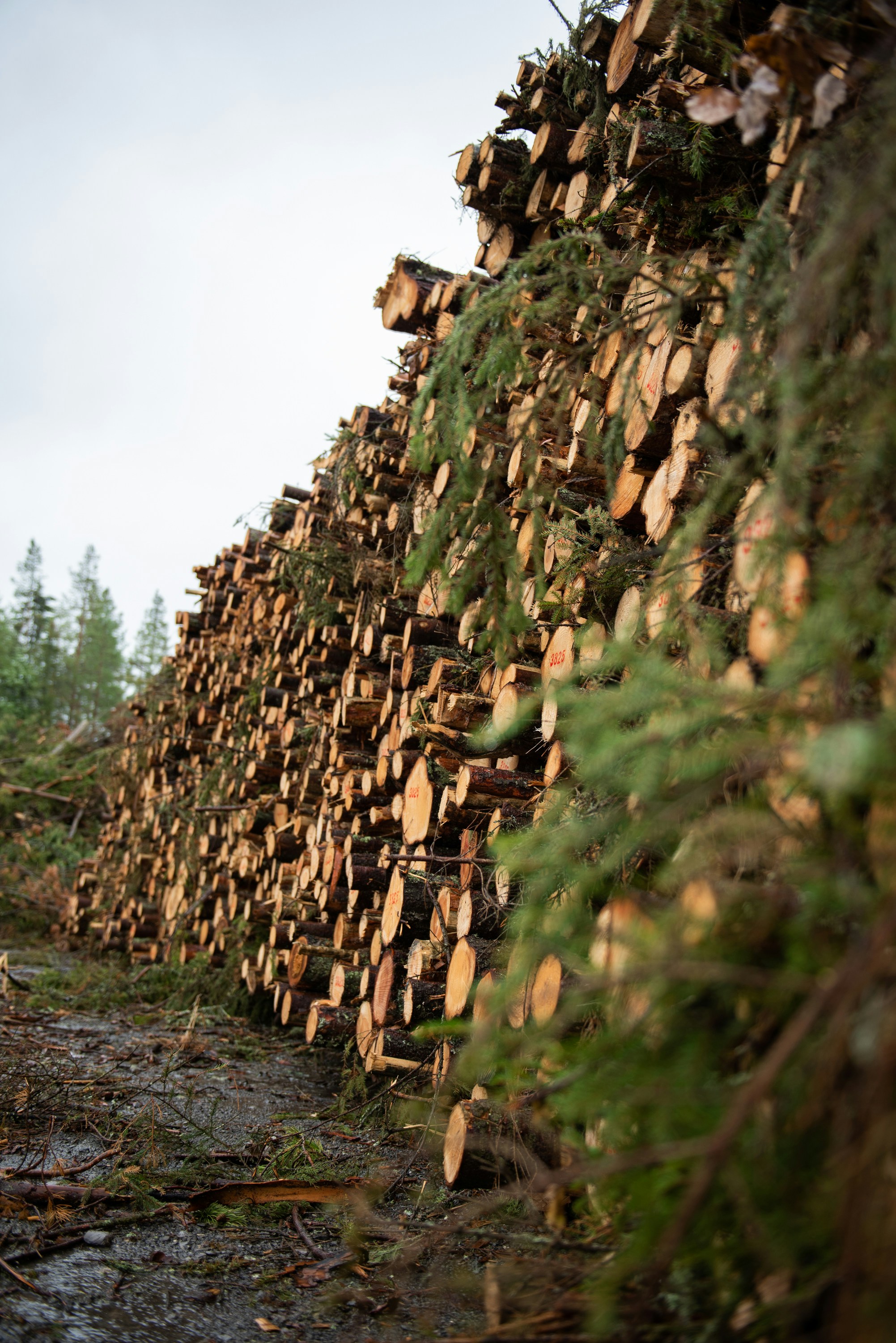 gray computer monitor